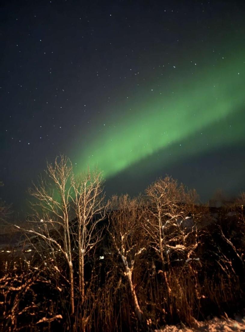 Koselig Leilighet I Narvik Sentrum 5 Soveplasser Gratis Parkering Og Gratis Internett Extérieur photo