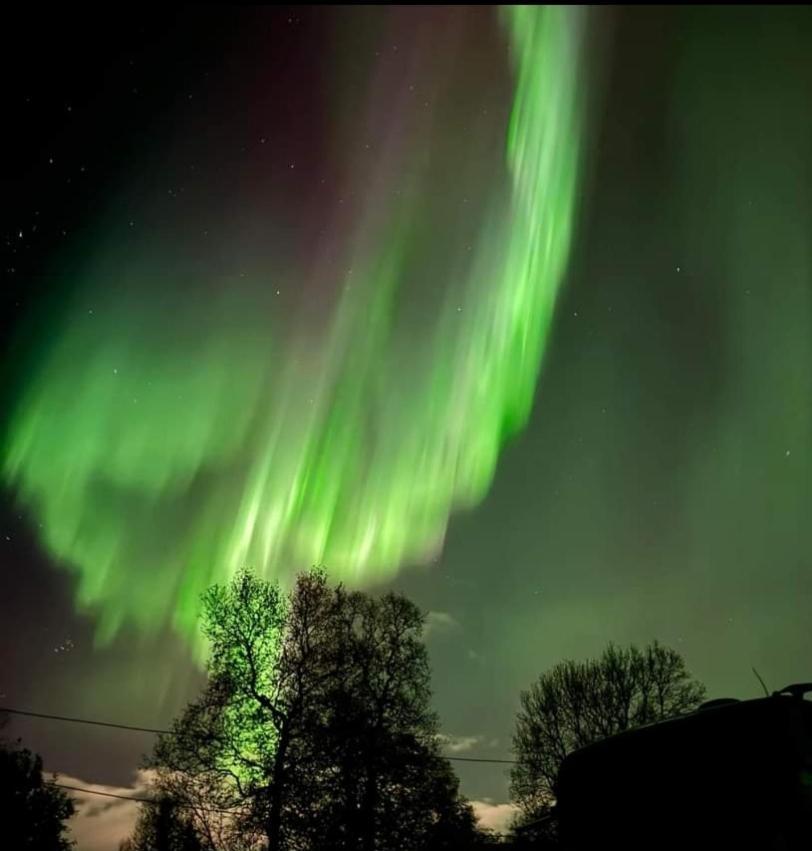Koselig Leilighet I Narvik Sentrum 5 Soveplasser Gratis Parkering Og Gratis Internett Extérieur photo