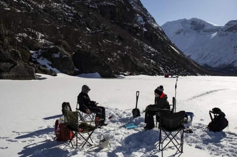 Koselig Leilighet I Narvik Sentrum 5 Soveplasser Gratis Parkering Og Gratis Internett Extérieur photo
