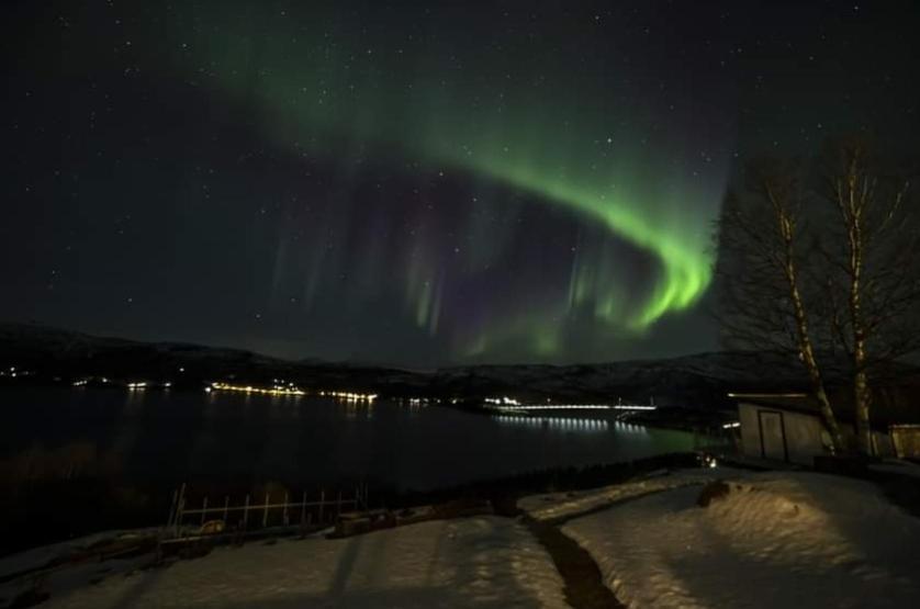 Koselig Leilighet I Narvik Sentrum 5 Soveplasser Gratis Parkering Og Gratis Internett Extérieur photo